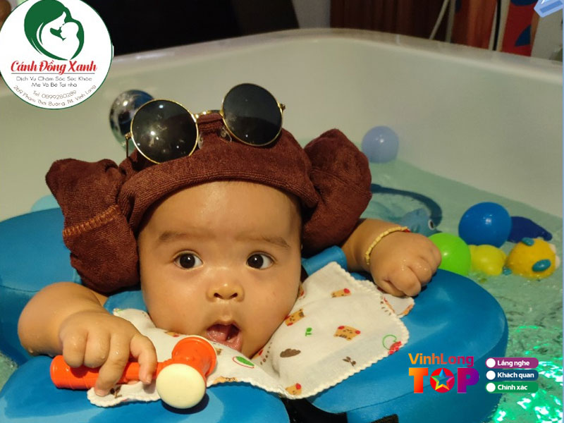 Canh-dong-xanh-vinhlongtoplist