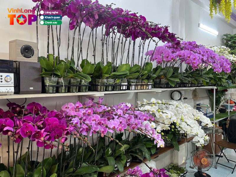 Hangs-flower-vinhlongtoplist