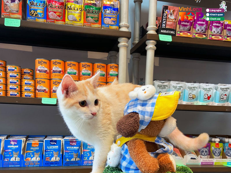 Mayo-pet-shop-vinhlongtoplist