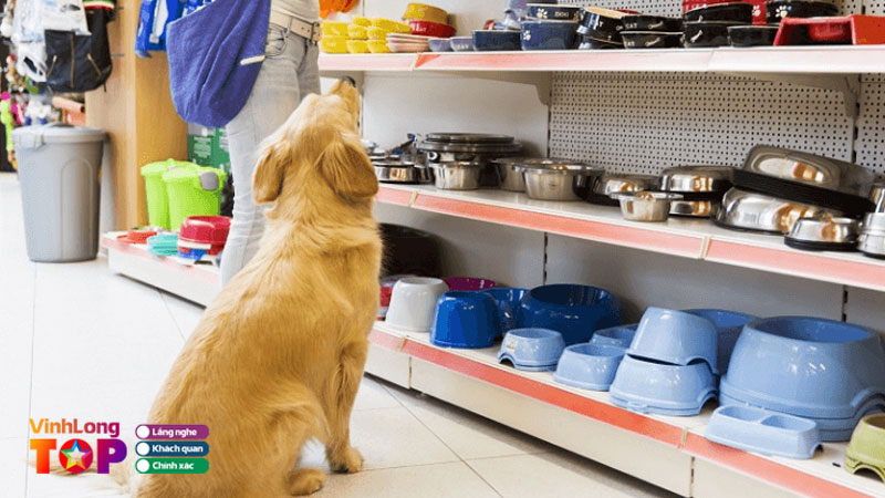 Top-7-cua-hang-thu-cung-tai-vinh-long-uy-tin-gia-tot-nhat-vinhlongtoplist