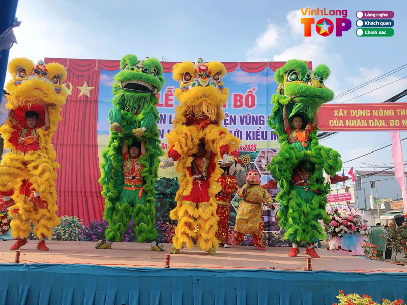 Hien-anh-duong-vinhlongtoplist
